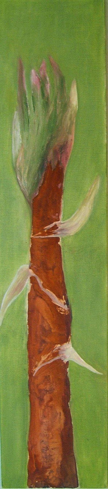 2005_Bambus_