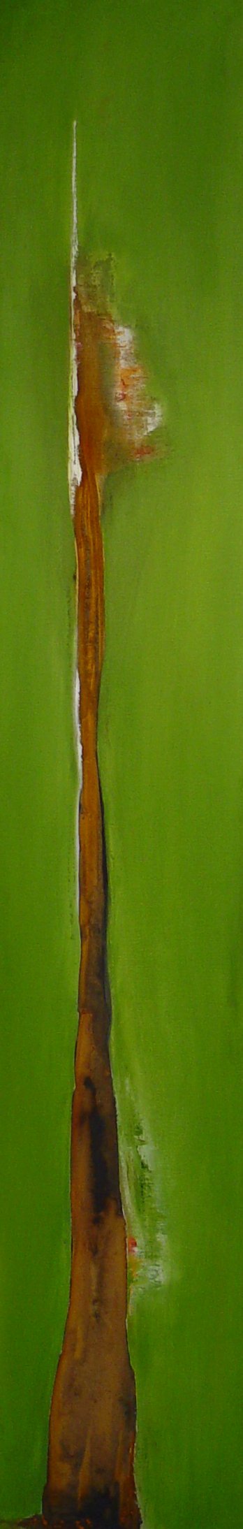 2005_Grn_25x140
