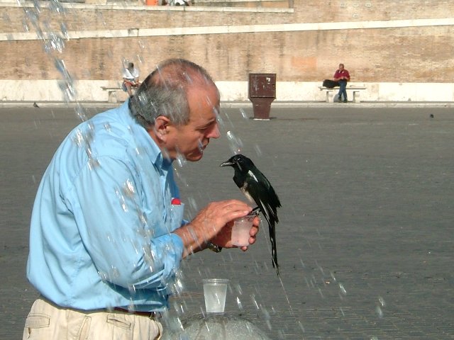 Rom_102004 024