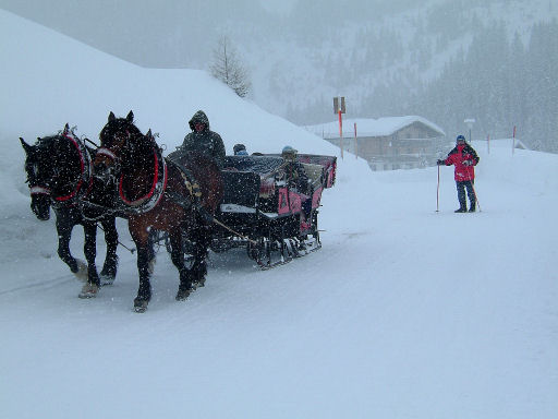 Ski_2855