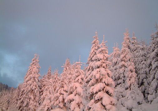 Ski_Todtnauberg