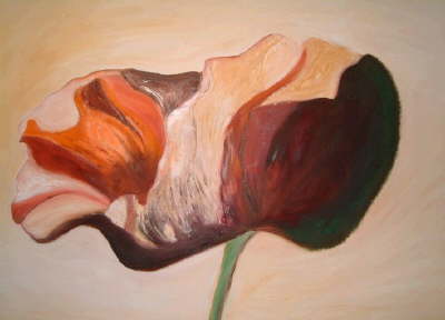 db_2003_Mohn_60x801