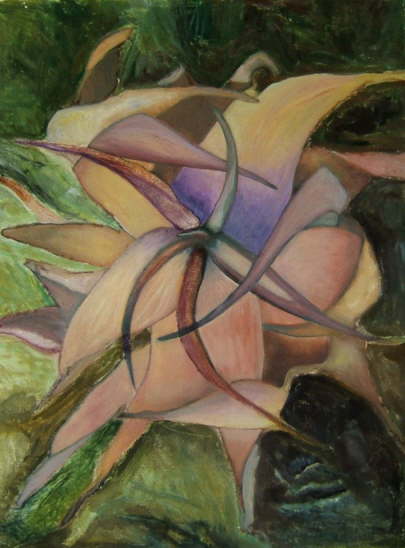 db_2004_Afrikas_Flora1_60_x_80_cm11